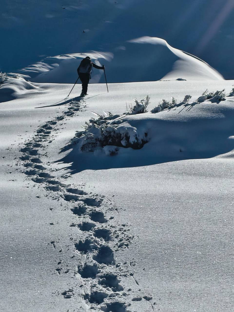 Persona con bastones subiendo con raquetas por la nieve recién caída, dejando una hilera de huellas