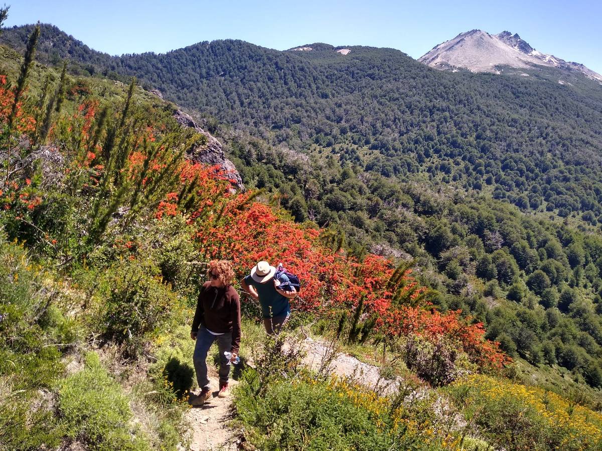 Dos personas caminando por un sendero de montaña entre arbustos de flores rojas y bosque verde, con un pico rocoso detrás